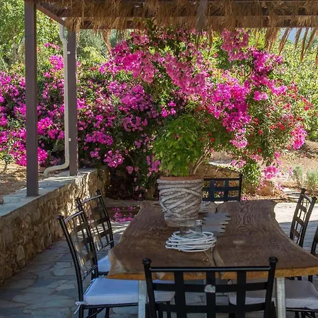 Pyleanblue Villa